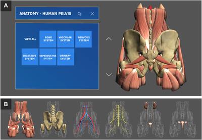 Application of Mixed Reality in Medical Training and Surgical Planning Focused on Minimally Invasive Surgery